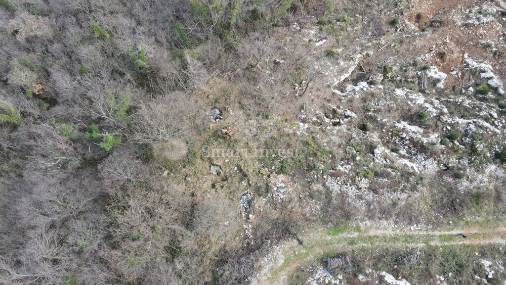 Image 6254149 - 14