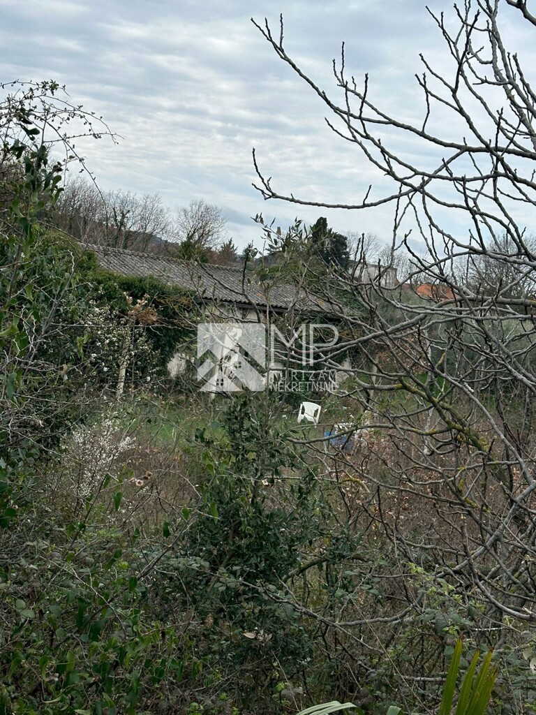 Image 6254151 - 2