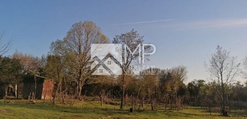 Thumbnail 6254152 - 2