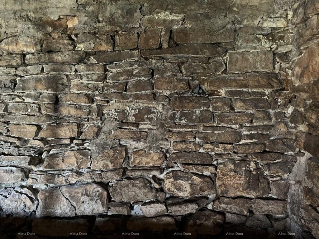 Image 6254166 - 18
