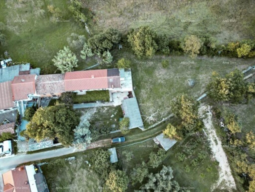 Image 6254166 - 17