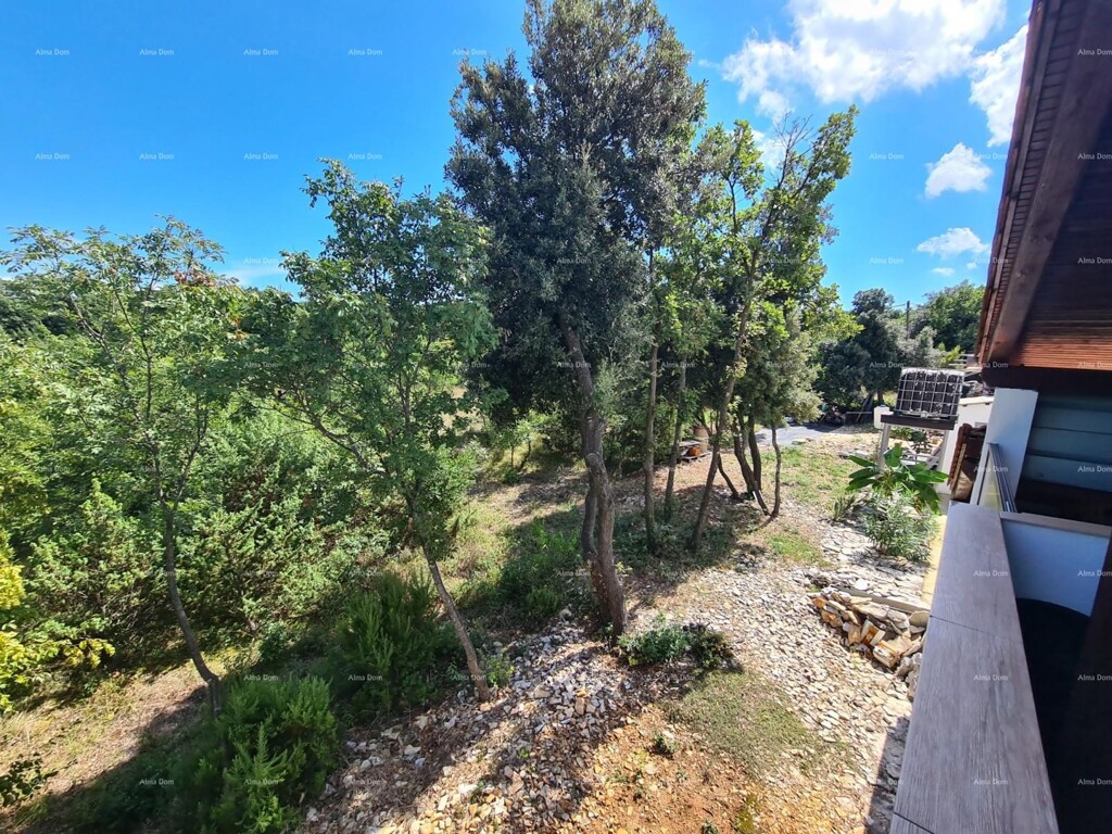 Image 6254167 - 11