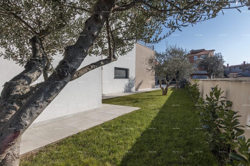 Image 6254169 - 19