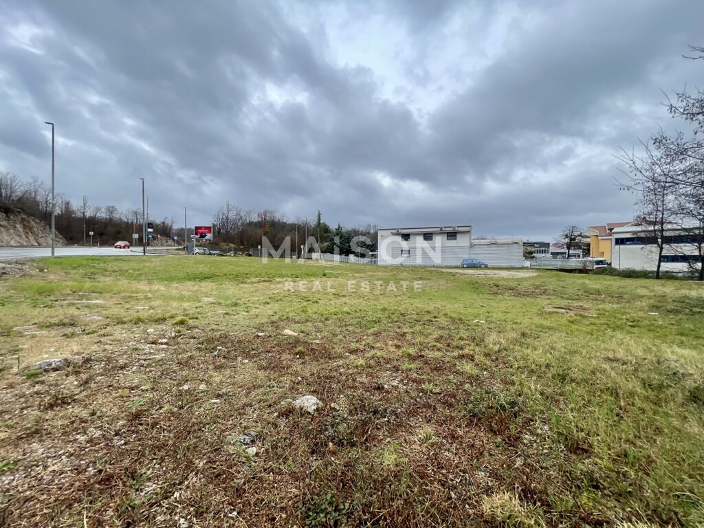 Image 6254429 - 2