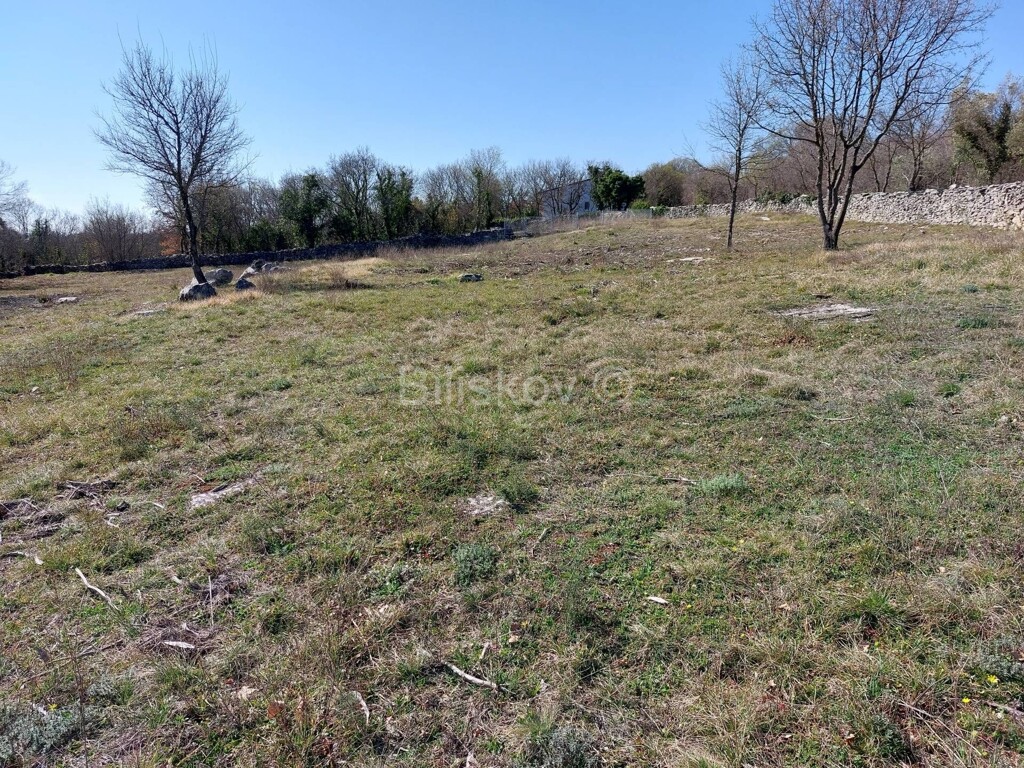 Image 6254433 - 5