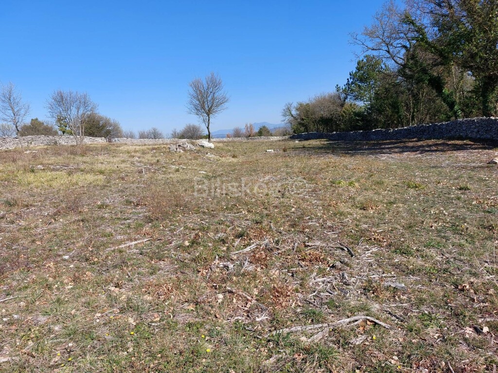 Image 6254433 - 1