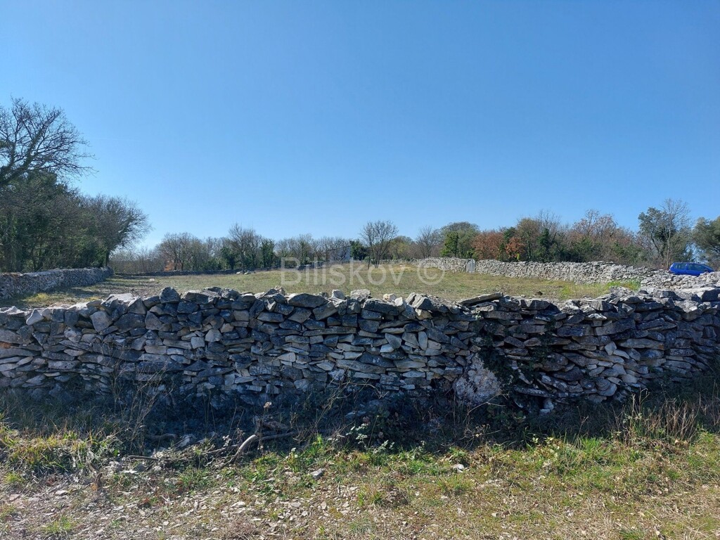 Image 6254433 - 2