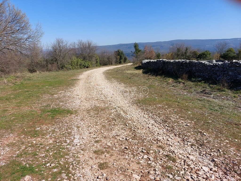 Image 6254433 - 6