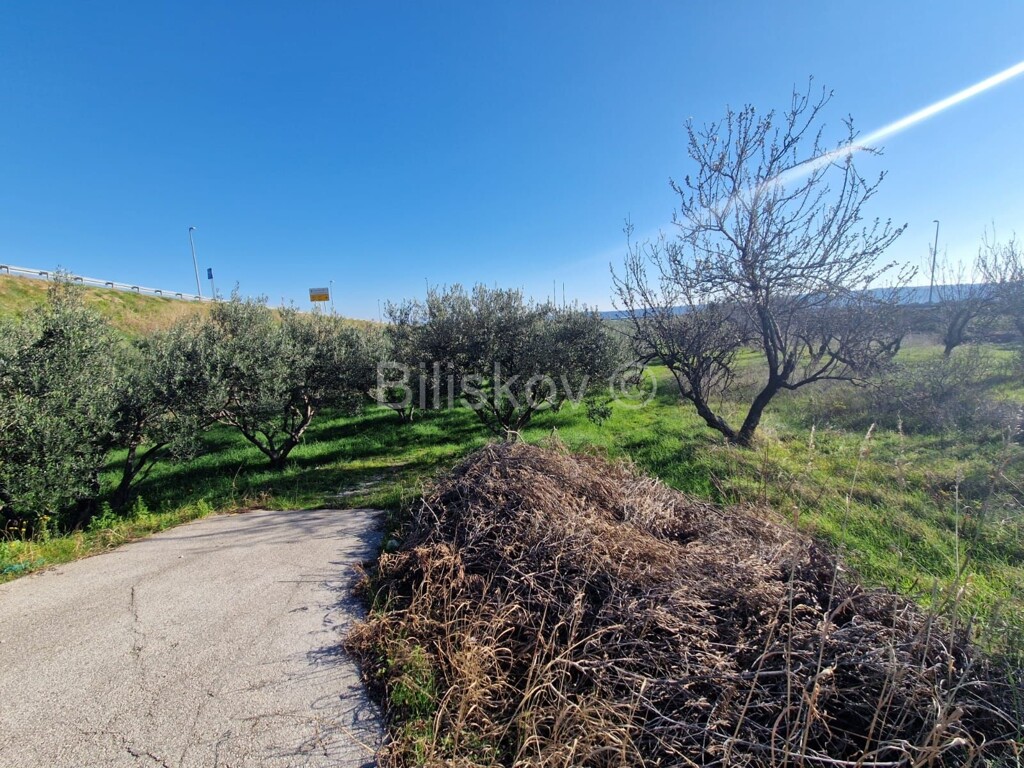 Image 6254440 - 1