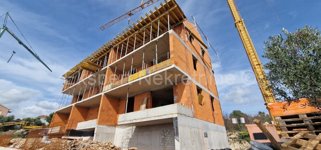 Image 6254448 - 11