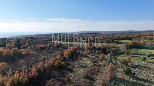 Thumbnail 6254499 - 5