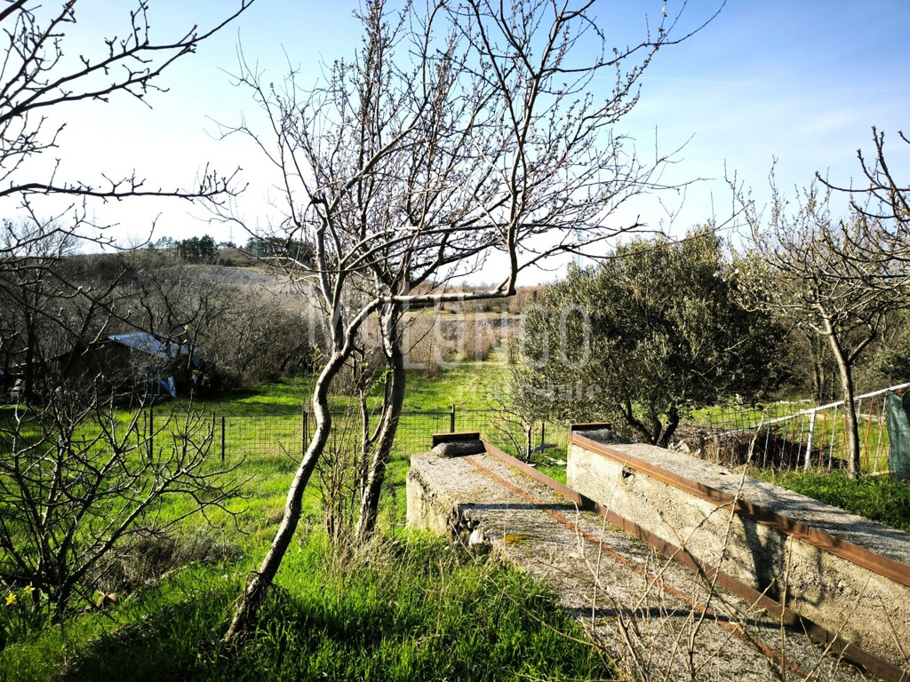 Image 6254512 - 2