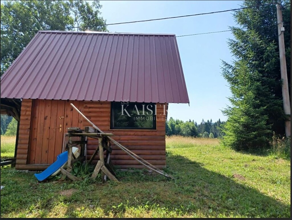 Image 6254519 - 9