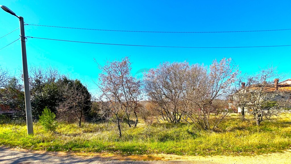 Image 6254599 - 5