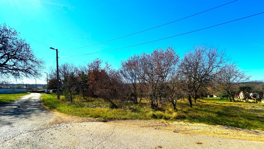 Image 6254599 - 1