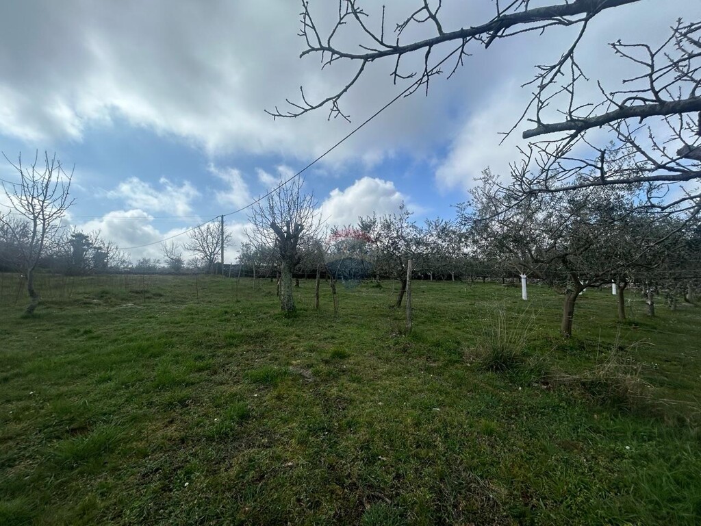Image 6254600 - 2