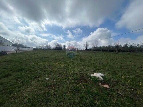 Thumbnail 6254600 - 4