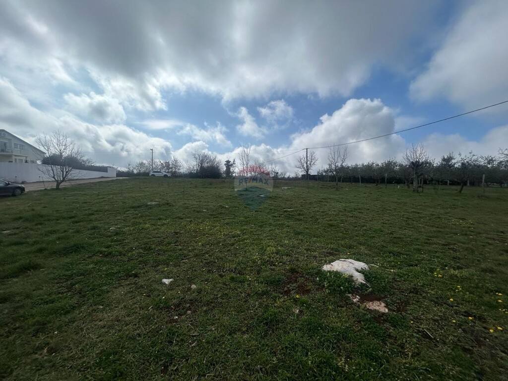 Image 6254600 - 4