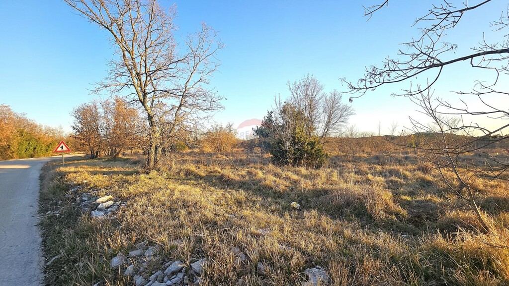 Image 6254601 - 3