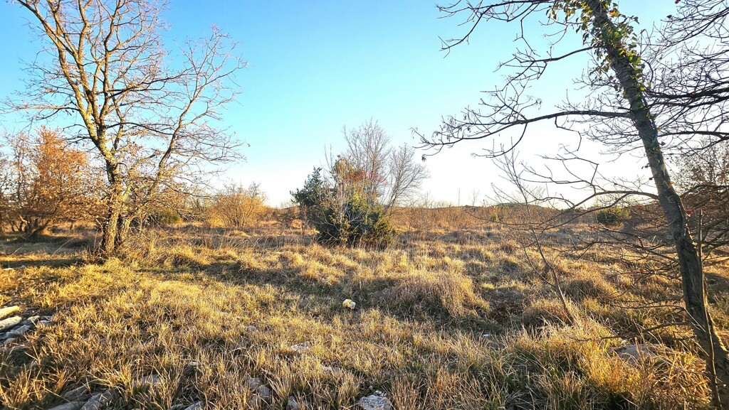 Image 6254601 - 1