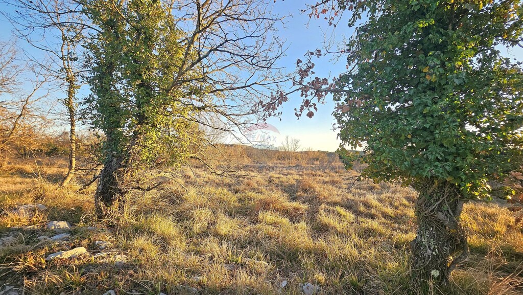 Image 6254601 - 2