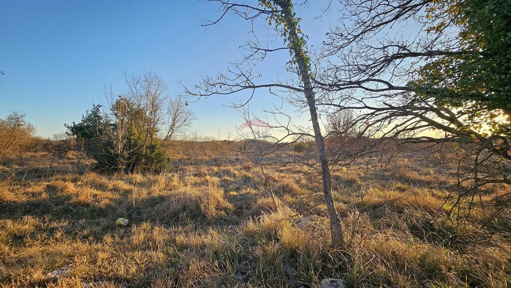 Image 6254601 - 4