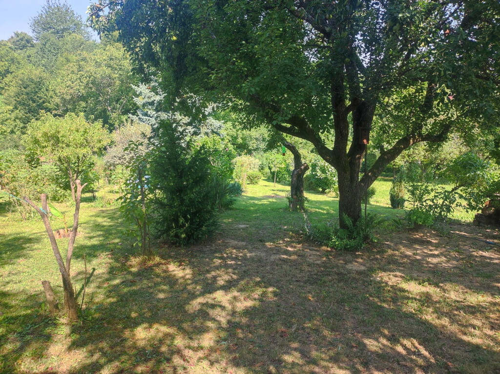 Image 6254608 - 4