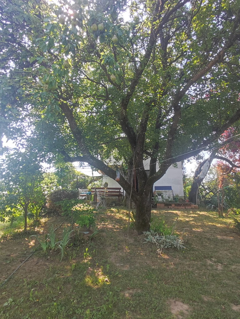 Image 6254608 - 3