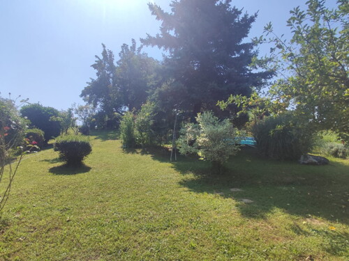 Thumbnail 6254608 - 6