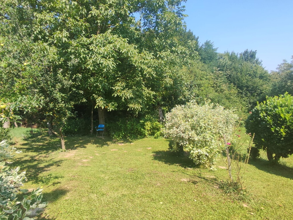 Image 6254608 - 5