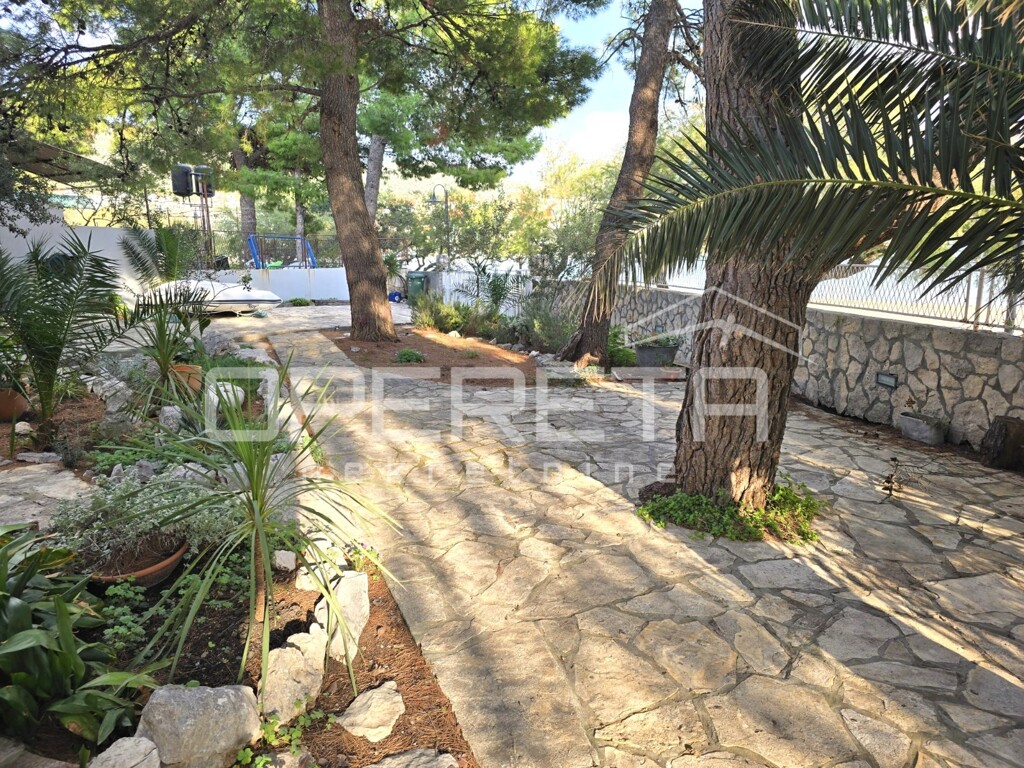 Image 6254898 - 4