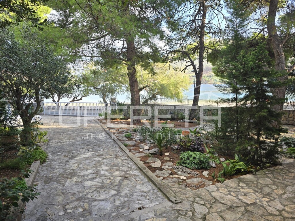 Image 6254898 - 2