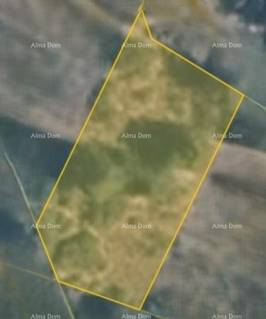 Image 6254940 - 2