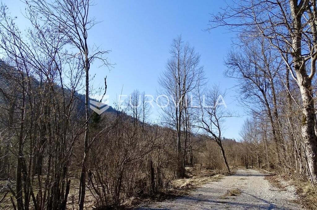 Image 6256309 - 4