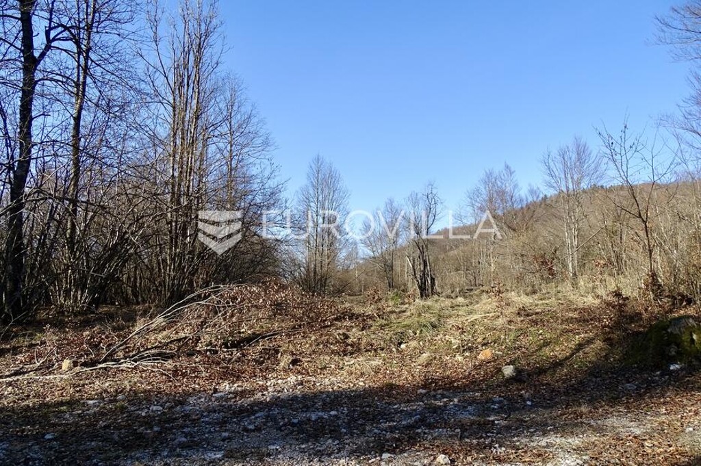 Image 6256309 - 6
