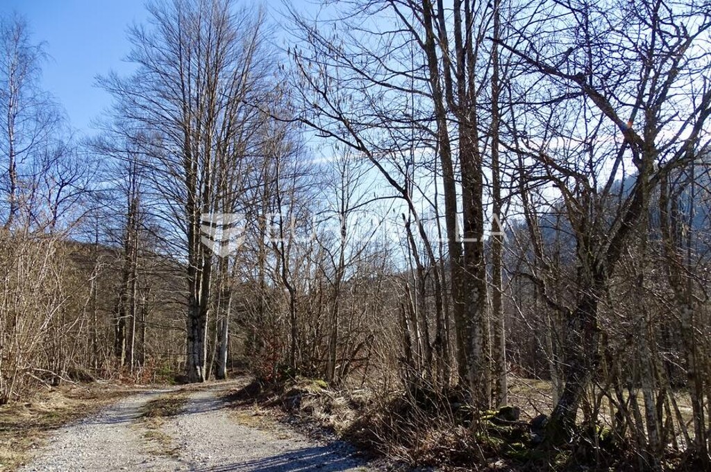 Image 6256309 - 5