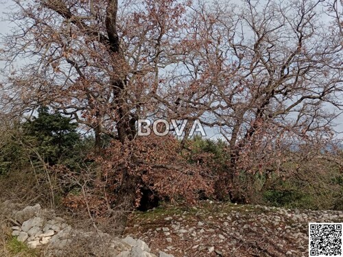 Thumbnail 6256366 - 1