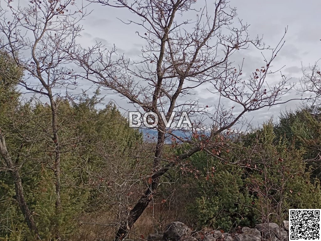 Image 6256366 - 3