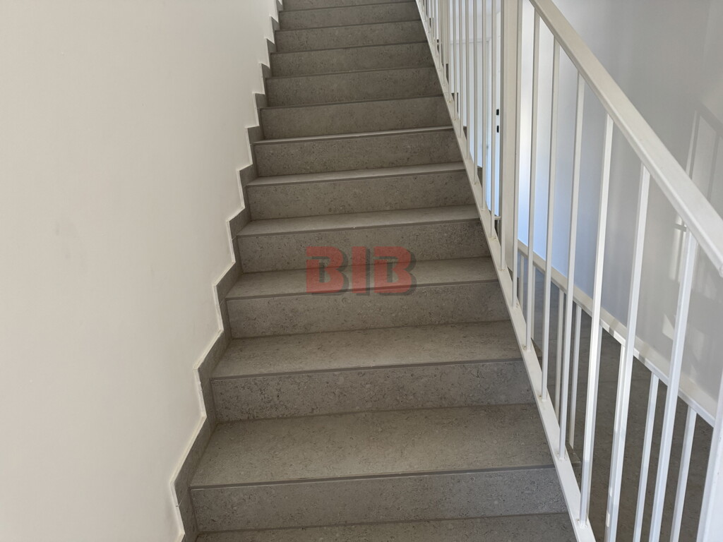 Image 6256380 - 17