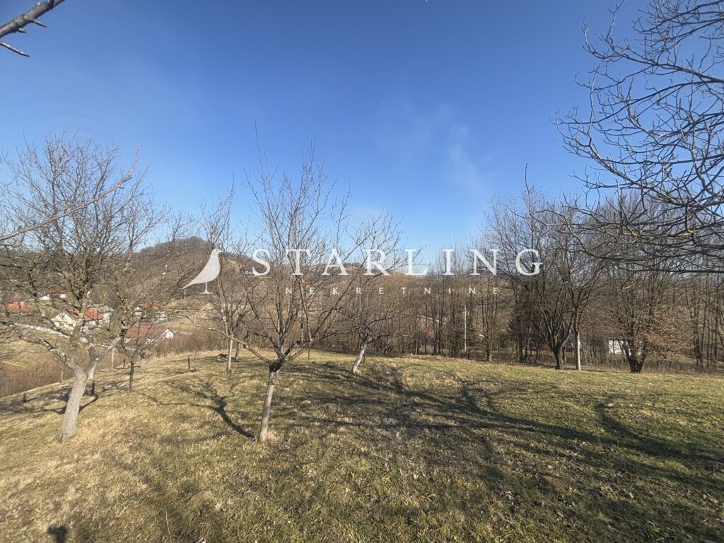 Image 6256386 - 18