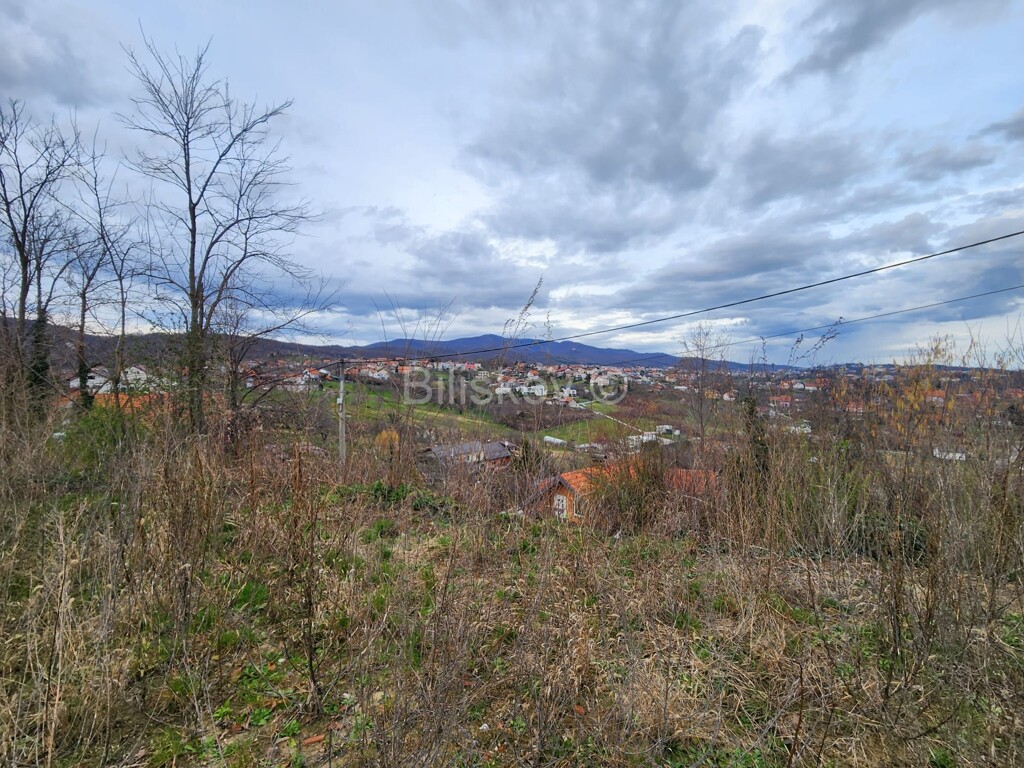 Image 6256390 - 1
