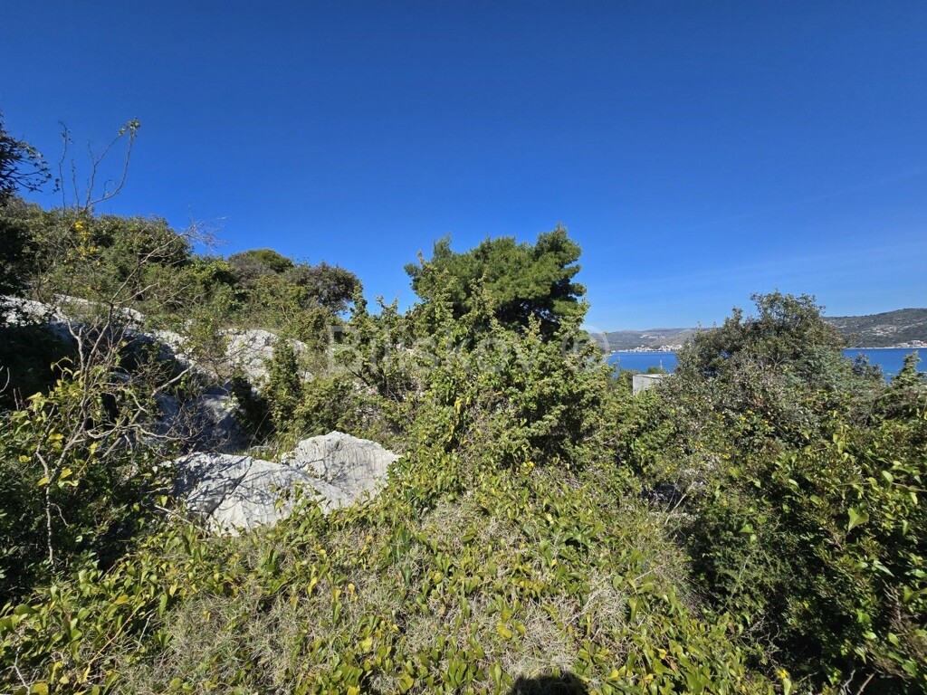 Image 6256392 - 3