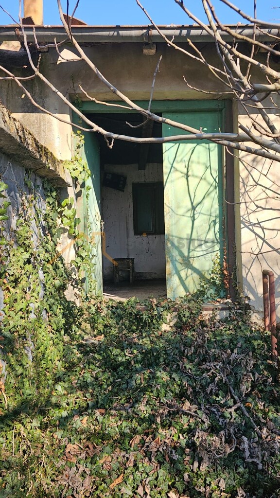 Image 6256476 - 6
