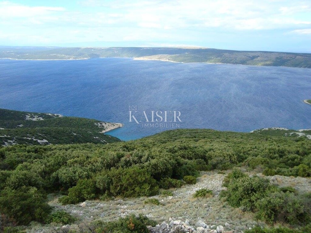 Image 6256500 - 21
