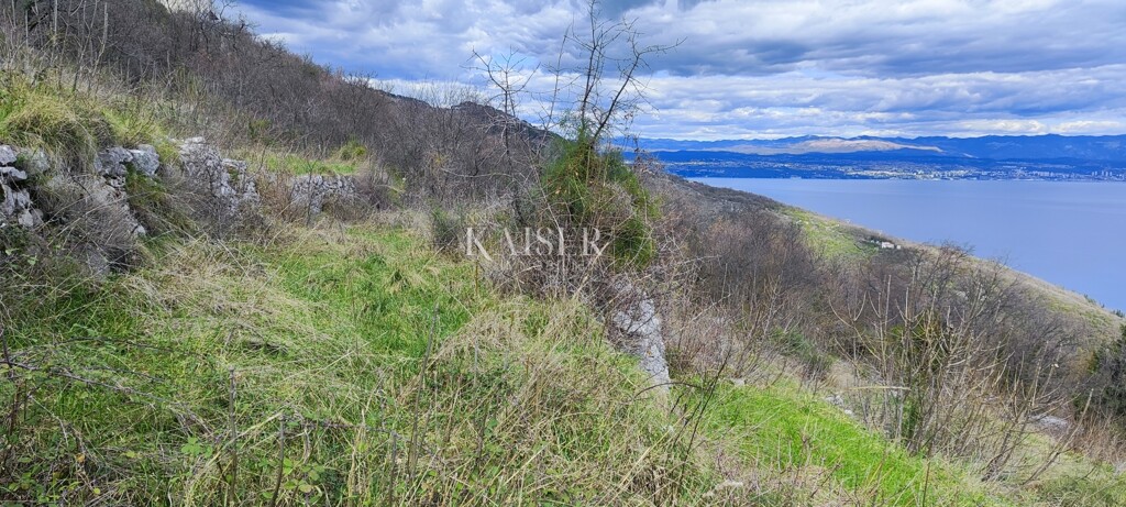 Image 6256503 - 8