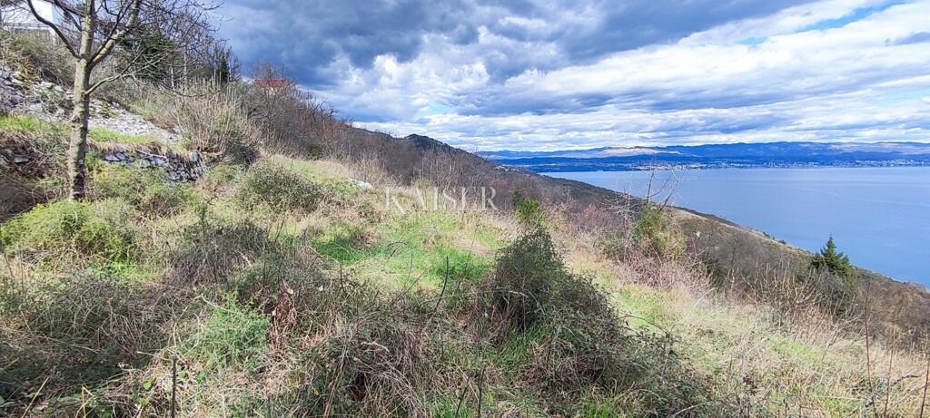 Image 6256503 - 4