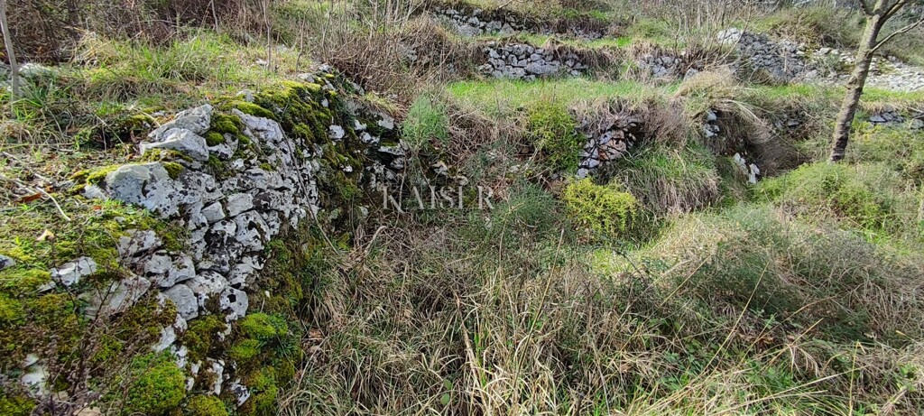 Image 6256503 - 3