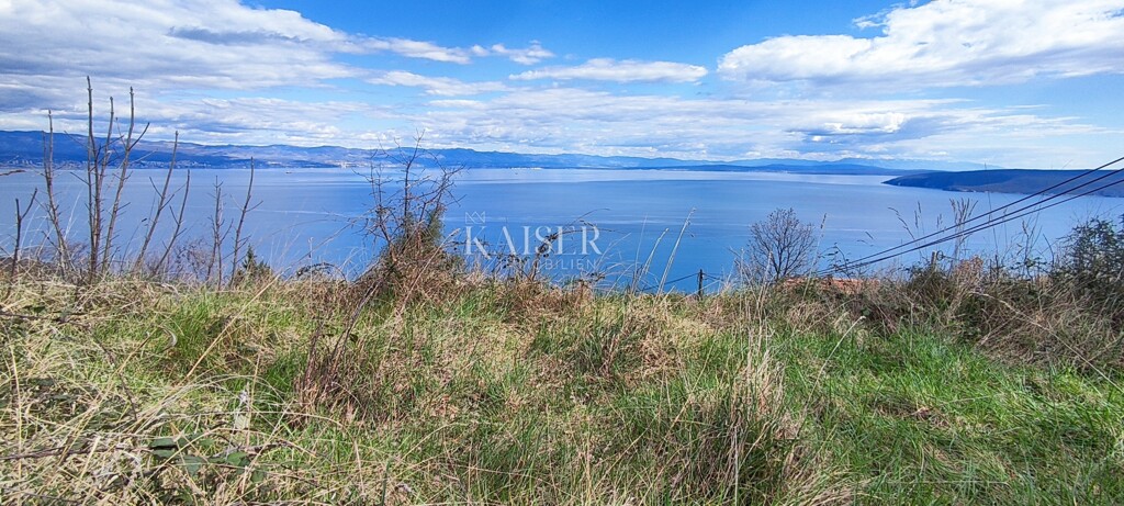 Image 6256503 - 6