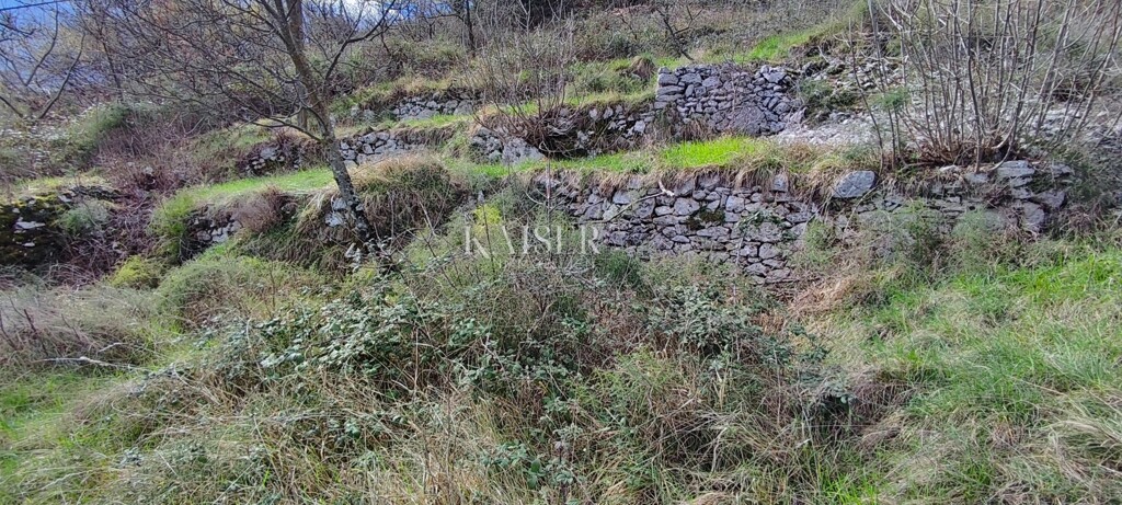 Image 6256503 - 7