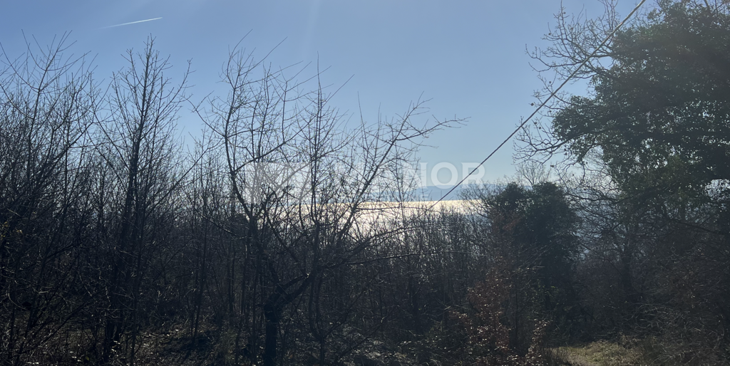 Image 6256514 - 1